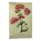John Derian Decoupage Tray 9x14" Double Catch-Fly