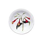  John Derian Lisianthus Saucer