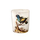 John Derian Parrot Tumbler