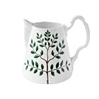 John Derian Pitcher Indigofera Colutea