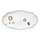 John Derian Platter Gem