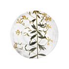 John Derian Botanical Plate Genista