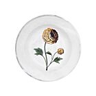 John Derian Floral Soup Plate Indian King Ranculus