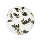 John Derian Botanical Plate Matricaria
