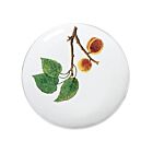 John Derian Harvest Plate Prune