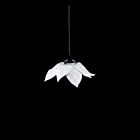 Astier de Villatte Lamp Shade Jose Levy #2 