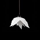 Astier de Villatte Lamp Shade Jose Levy #6 