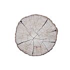 Kim Seybert Coaster Birch