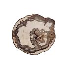 Kim Seybert Coaster Petrified Wood