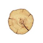 Kim Seybert Coaster Woodland