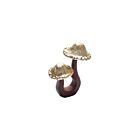 Kim Seybert Napkin Ring Sprout
