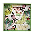 Lacquer Square Tray Butterflies