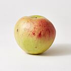 Marble Apple Macintosh Large