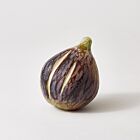 Marble Fig Black with Curved Tip