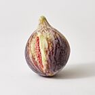 Marble Fig Black Open with Pink Seeds
