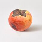 Marble Persimmon with Bruise Medium