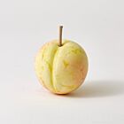 Marble Plum Yellow