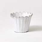 Marguerite Cup (No Handle)