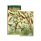 Matchbox Bird Studies