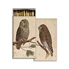 Matchbox Two Owls