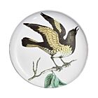 John Derian Bird Platter Yellow