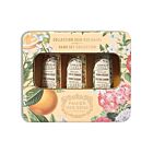 Panier Des Sens Absolutes Tin Box Set