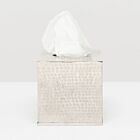 Pigeon & Poodle Buren Nickle Tissue Box