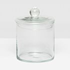 Pigeon & Poodle Glass Darby Canister Large