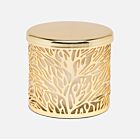 Pigeon & Poodle Lynn Matte Gold Canister Large