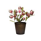 Pot with Tulips & Greens