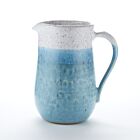 Rachael Pots Pitcher Robin's Egg Blue Large