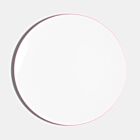 Richard Brendon Line Pink Coupe Dinner Plate