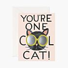 Rifle Stationery Cool Cat Card