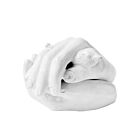   Serena Bird Box with White Ring