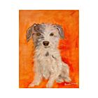 Shelter Pet Chester Card