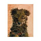 Shelter Pet Rigo Card
