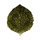 Stoneware Riviera Hydrangea Foret Leaf Plate