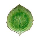 Stoneware Riviera Hydrangea Tomate Leaf Plate