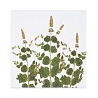 Summerill & Bishop Tisane Herb Mint Napkin