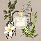 Santa Maria Novella Tabacco Toscano Cologne