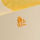 The Printery Stationery Set/10 Note Card Pomegranate