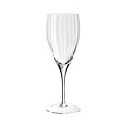 WYC Glass Corinne Goblet