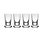 WYC Glass Madison Firing Glasses Set/4