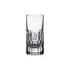 WYC Glass Merle Shot Tumbler