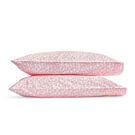 Matouk Margot Blush Standard Case/Pair - 21x32