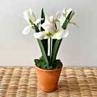 Artisan Porcelain Flower Irises White in Pot