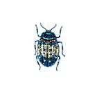 Artisan Brooch Pin Blue Mint Beetle