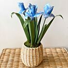 Artisan Porcelain Flower Irises Blue in Basket