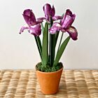 Artisan Porcelain Flower Irises Purple in Pot
