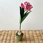 Artisan Porcelain Flower Tulip Bulb Pink in Pot